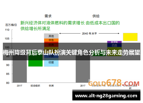 梅州降级背后泰山队扮演关键角色分析与未来走势展望
