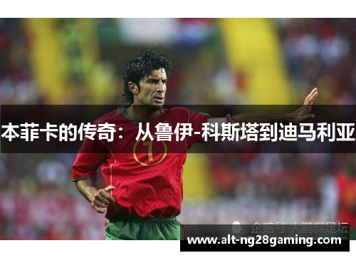 本菲卡的传奇：从鲁伊-科斯塔到迪马利亚