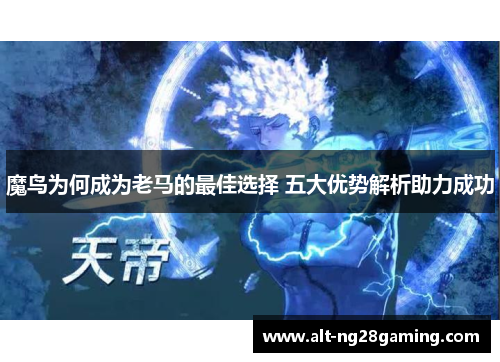 魔鸟为何成为老马的最佳选择 五大优势解析助力成功