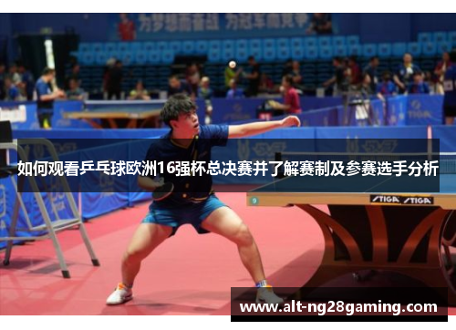 如何观看乒乓球欧洲16强杯总决赛并了解赛制及参赛选手分析