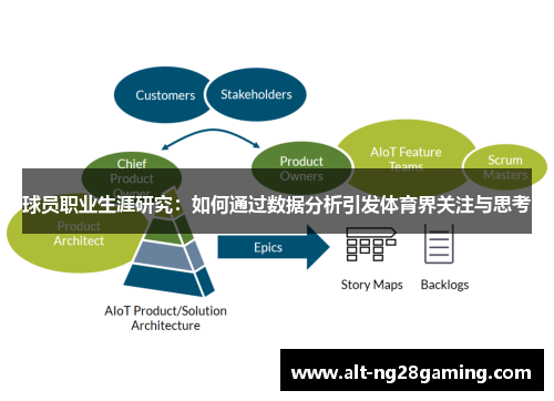 球员职业生涯研究：如何通过数据分析引发体育界关注与思考