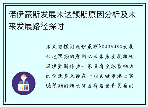 诺伊豪斯发展未达预期原因分析及未来发展路径探讨 诺伊豪斯发展未达预期原因分析及未来发展路径探讨